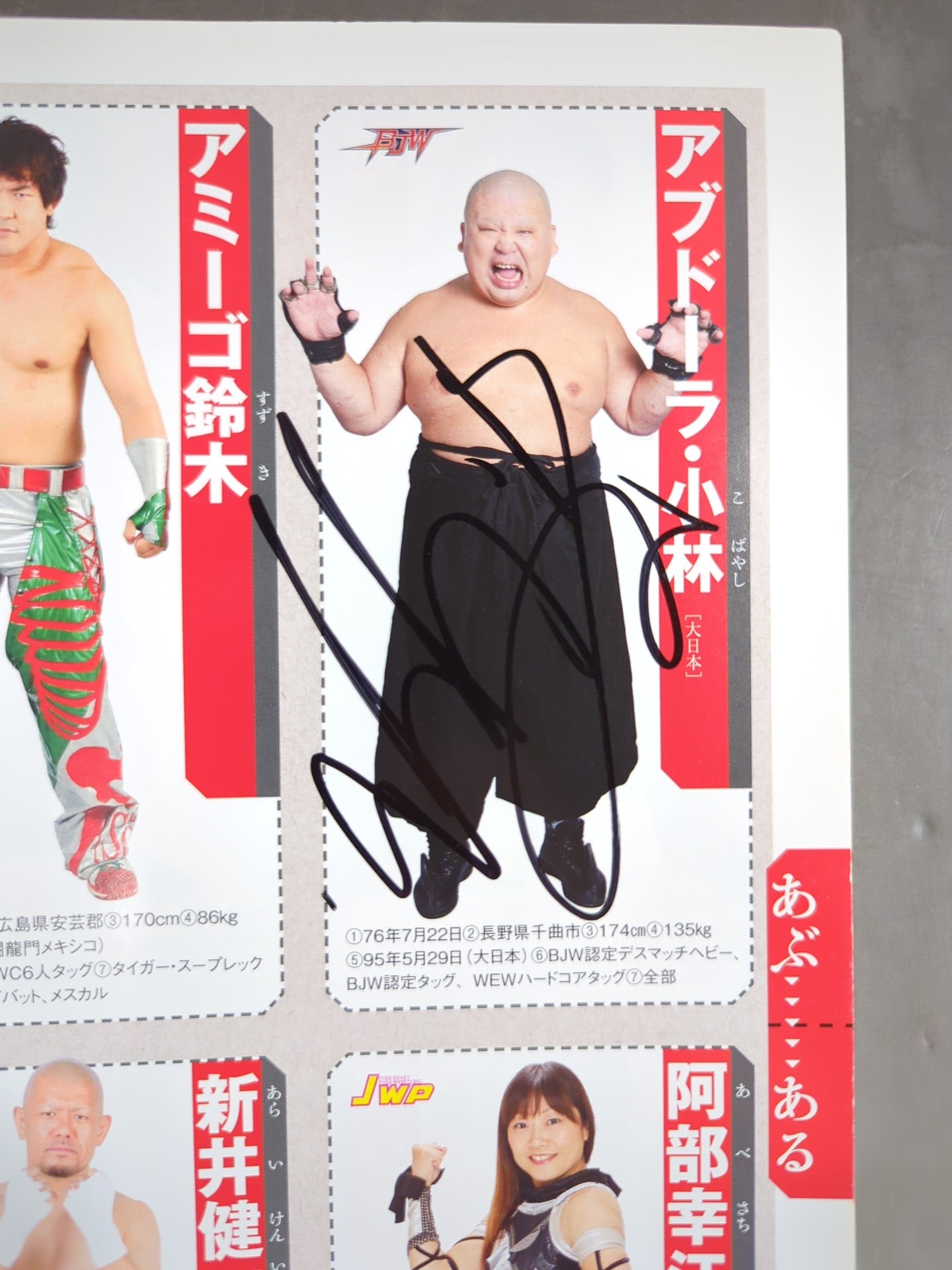 【35名直筆サイン入り】週刊プロレス別冊108「2014 保存版プロレスラー全身写真名鑑」