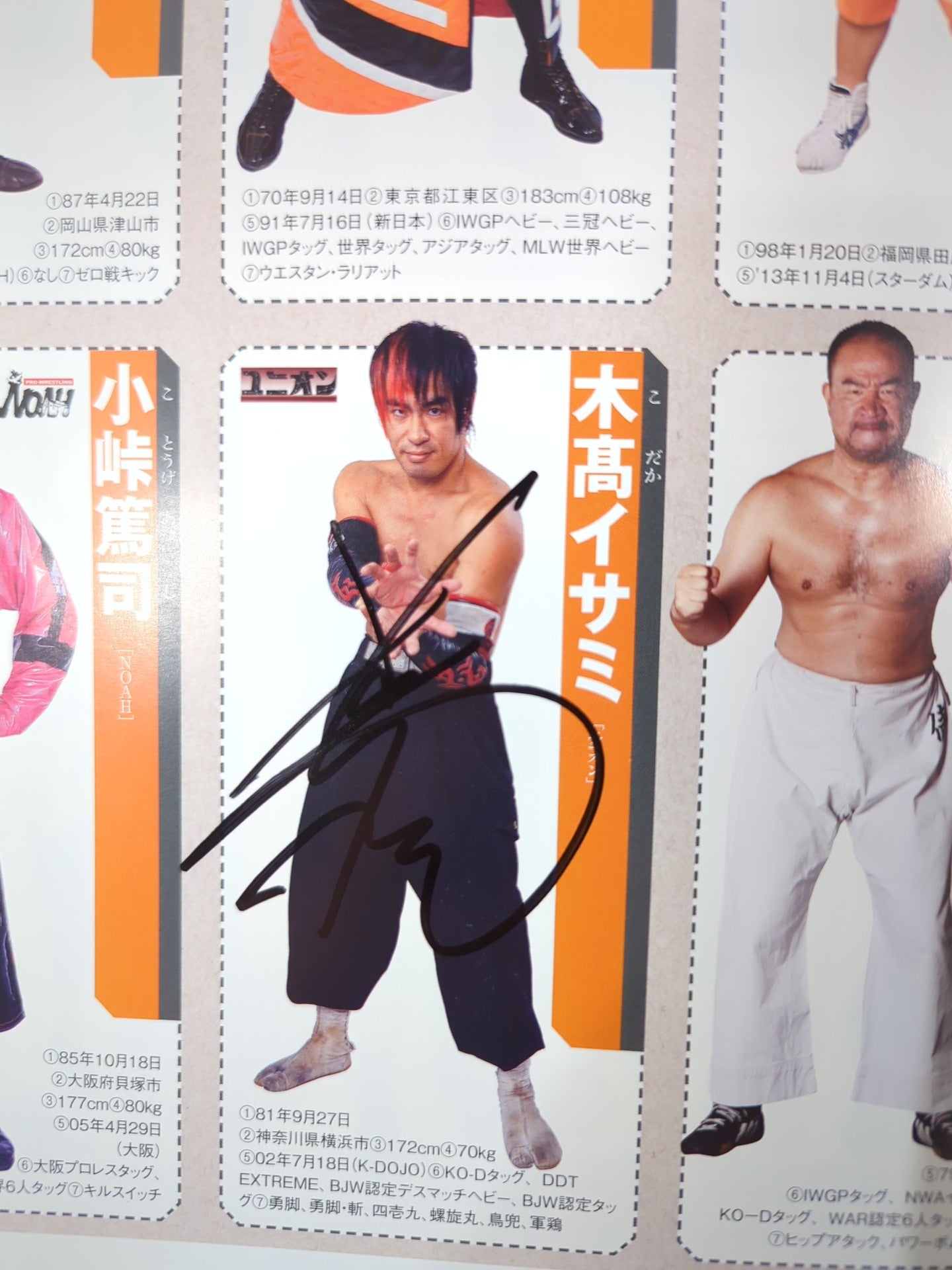 【35名直筆サイン入り】週刊プロレス別冊108「2014 保存版プロレスラー全身写真名鑑」