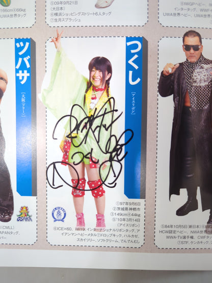 【35名直筆サイン入り】週刊プロレス別冊108「2014 保存版プロレスラー全身写真名鑑」