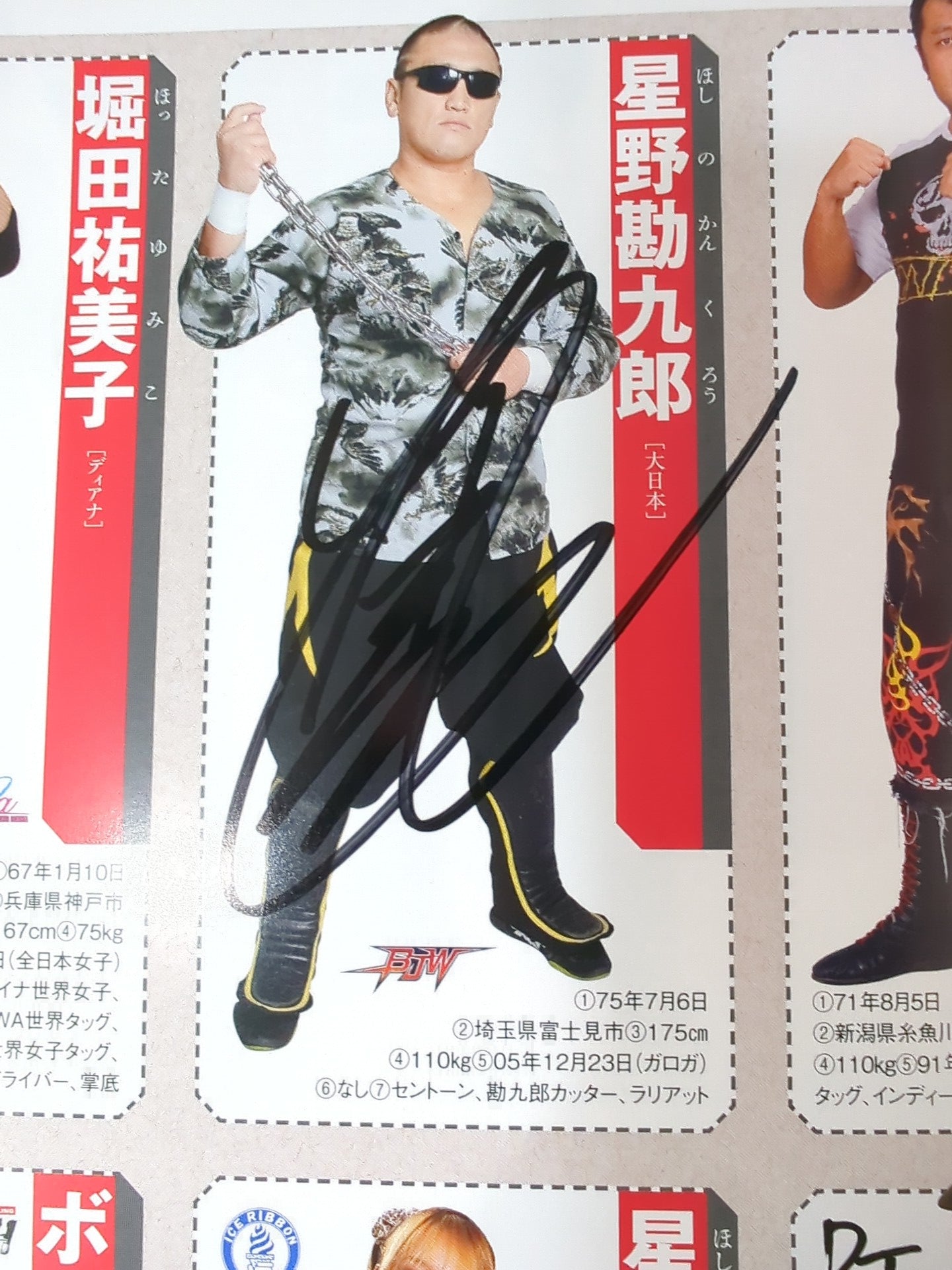 【35名直筆サイン入り】週刊プロレス別冊108「2014 保存版プロレスラー全身写真名鑑」