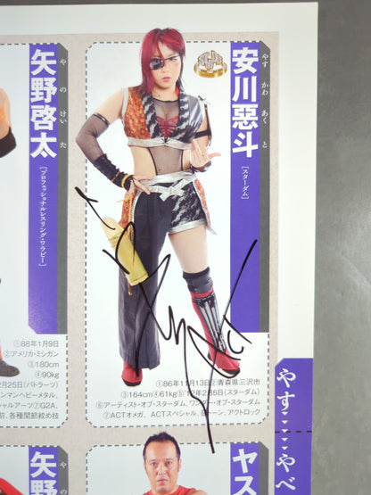 【35名直筆サイン入り】週刊プロレス別冊108「2014 保存版プロレスラー全身写真名鑑」