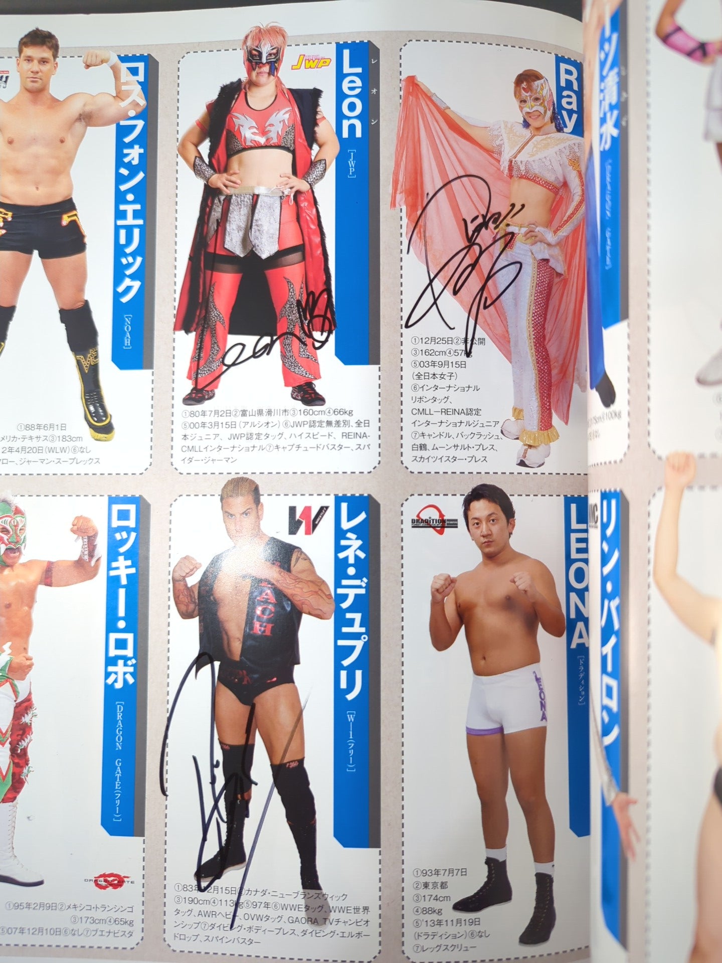 【35名直筆サイン入り】週刊プロレス別冊108「2014 保存版プロレスラー全身写真名鑑」