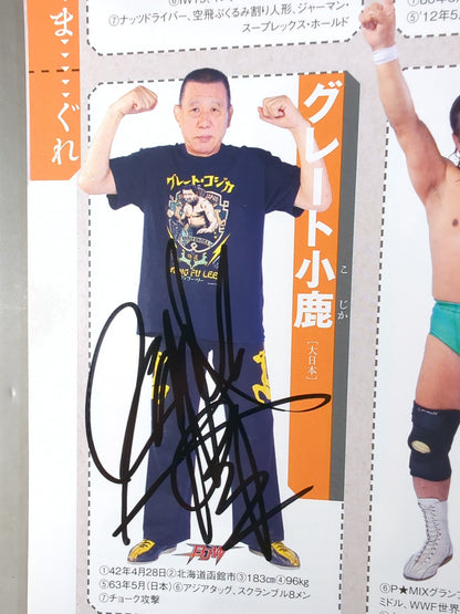 【35名直筆サイン入り】週刊プロレス別冊108「2014 保存版プロレスラー全身写真名鑑」