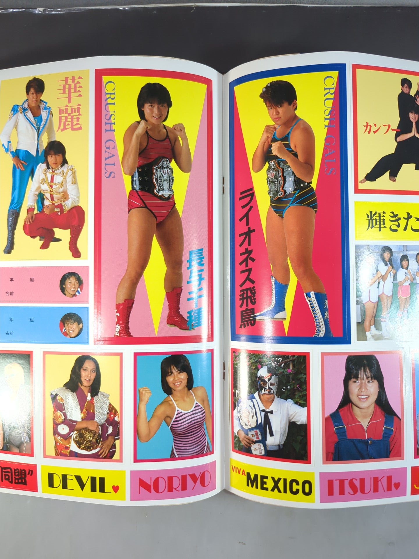 プロレスアルバム52 おもいっきり女子プロレス