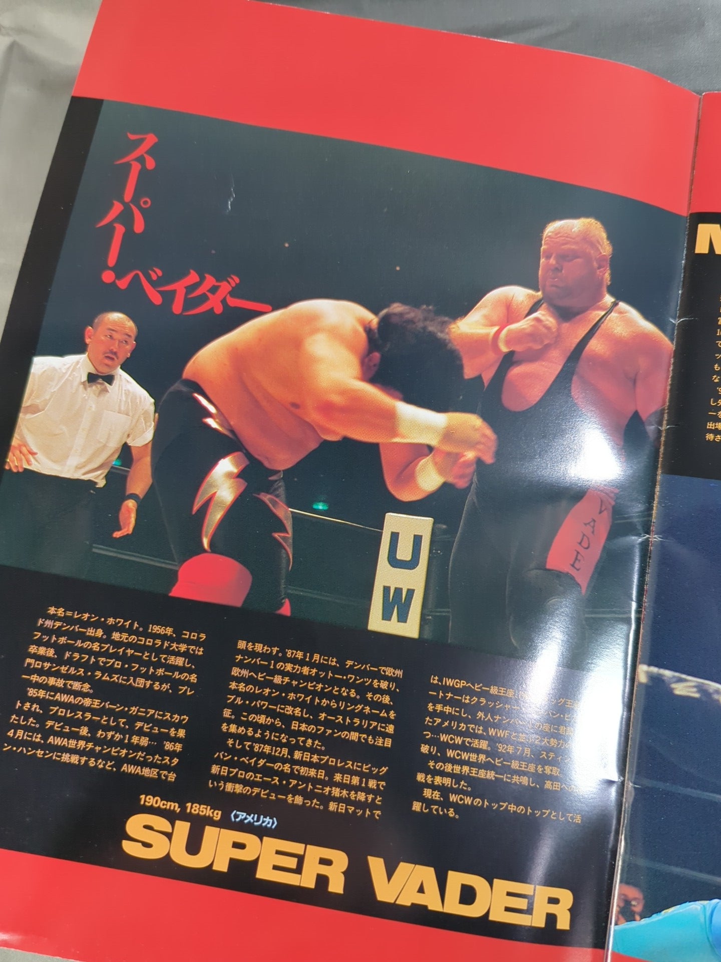 Uインター / 94PRO-WRESTLING WORLD TOURNAMENT 2回戦 – 闘道館