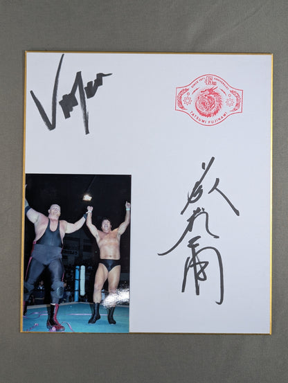 藤波辰爾＆ベイダー(ブロマイド貼付)