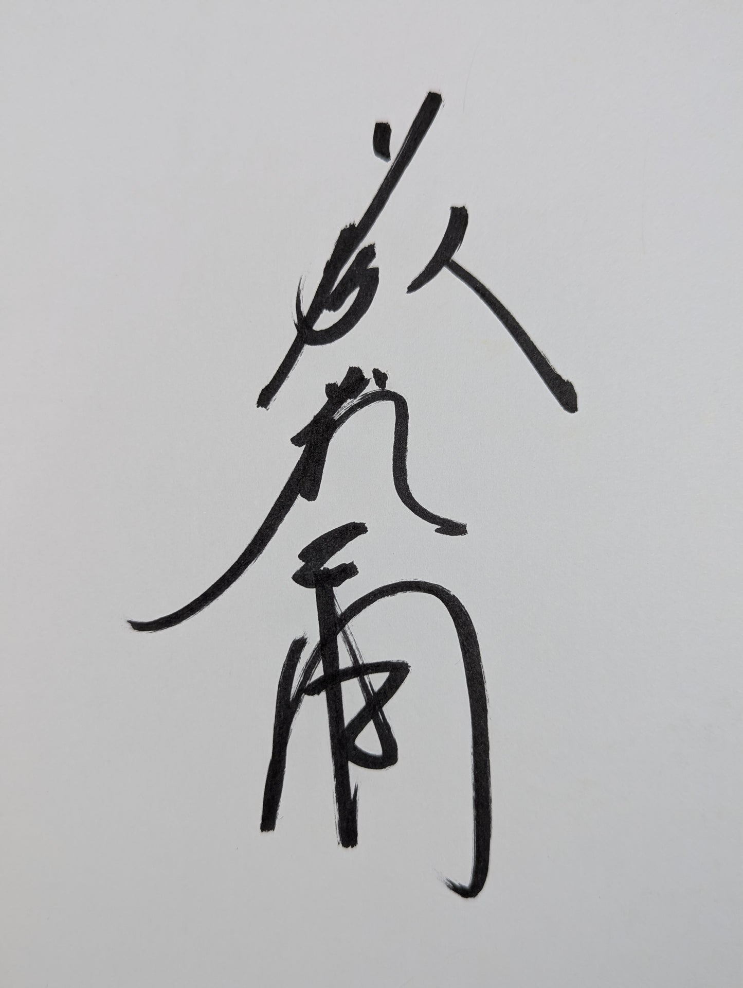 藤波辰爾＆ベイダー(ブロマイド貼付)