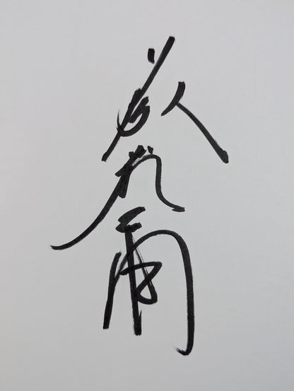 藤波辰爾＆ベイダー(ブロマイド貼付)