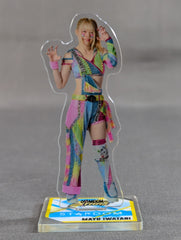 ☆フィニッシュ賞☆ 岩谷麻優 ミニアクリルスタンド – 闘道館