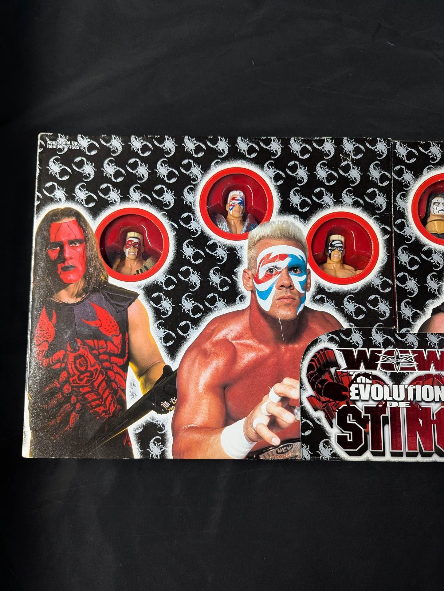 ☆THE EVOLUTION OF STING☆ Sting – 闘道館