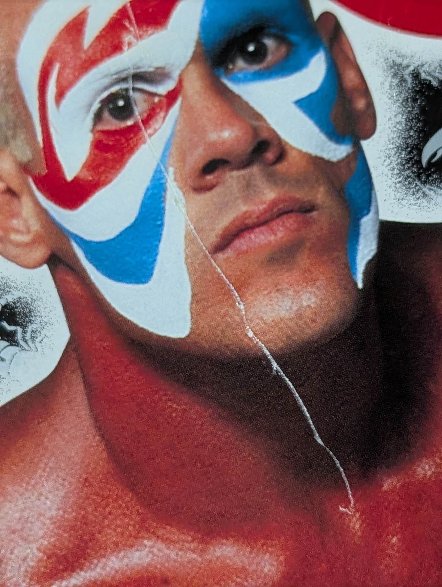 ★THE EVOLUTION OF STING★ Sting