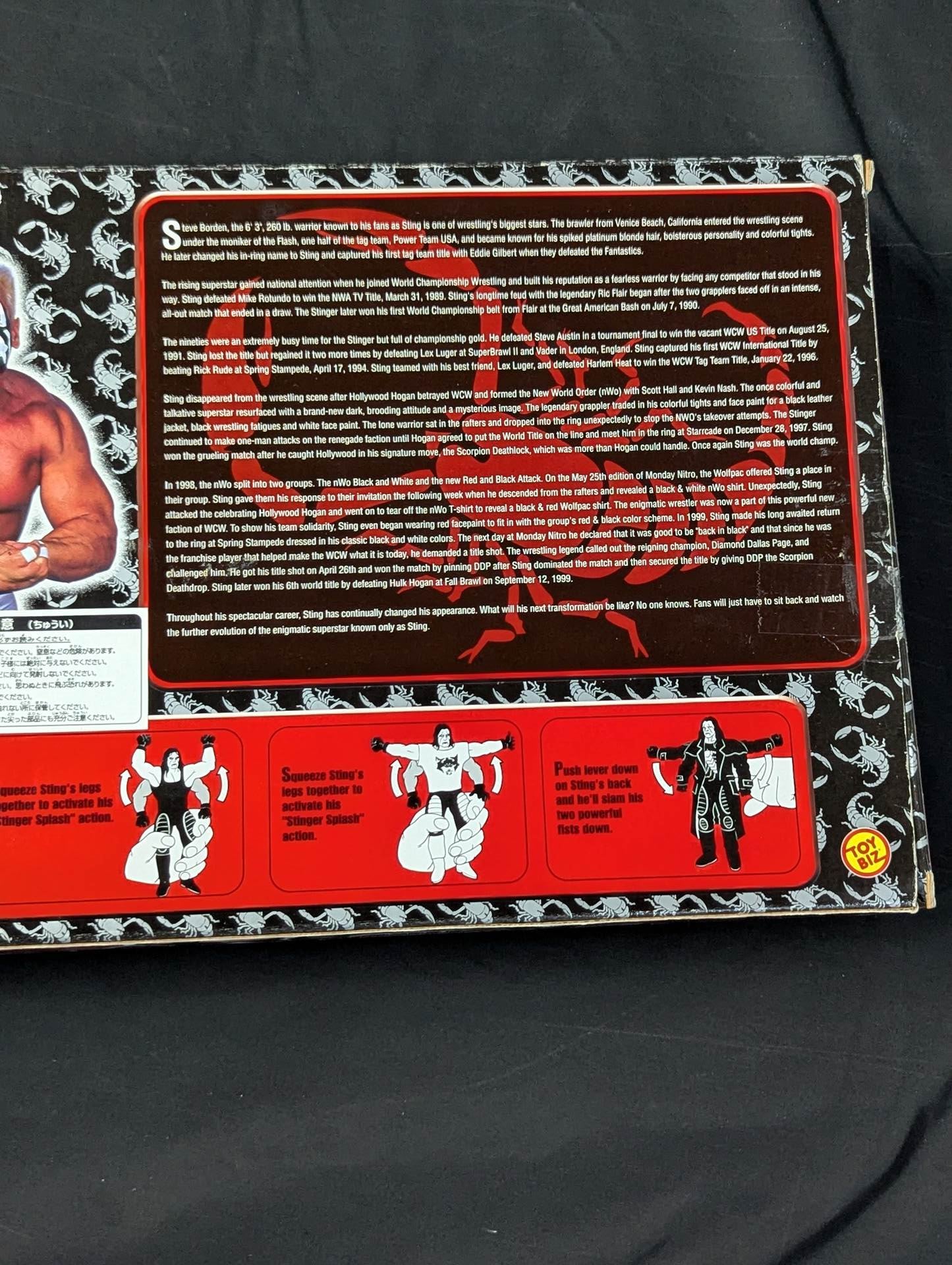 ☆THE EVOLUTION OF STING☆ Sting – 闘道館