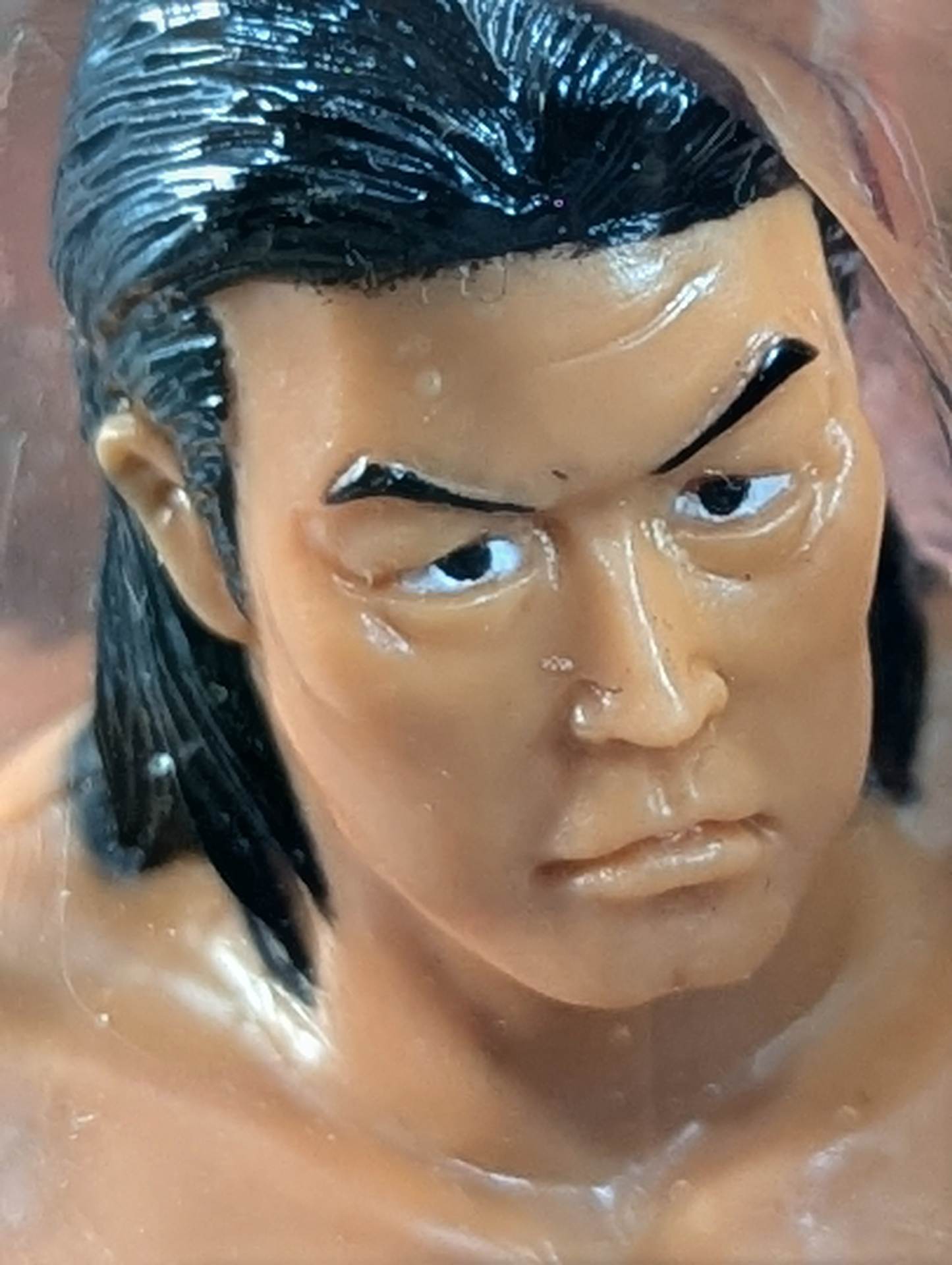 ☆要望書付☆ 長州力vs大仁田厚 – 闘道館