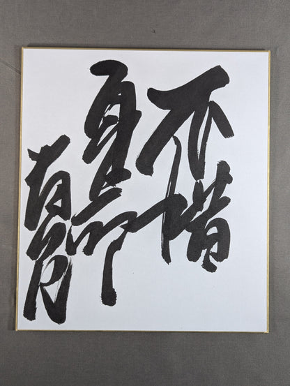 ★不惜身命★ 貴乃花親方