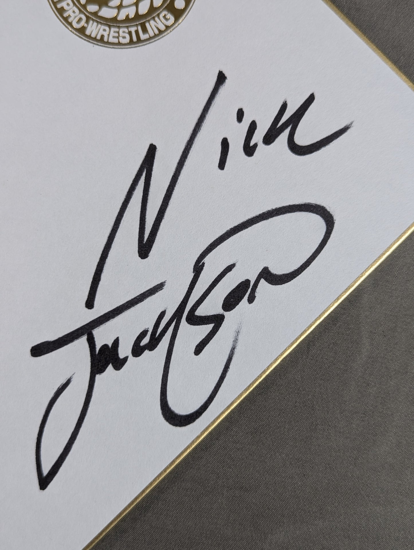 ヤング・バックス(マット&ニック・ジャクソン)&アダム・コール(ライオンマーク色紙)