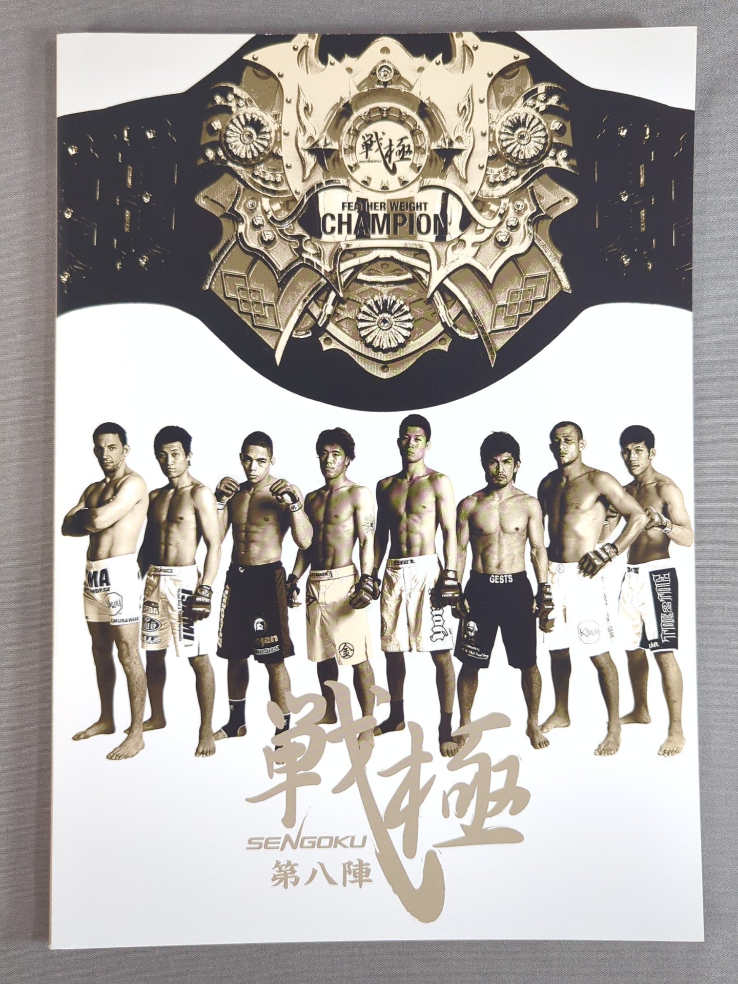 戦極 SENGOKU 第八陣