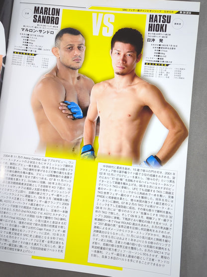 戦極 Soul of Fight