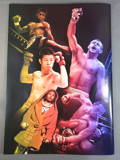 戦極 Soul of Fight