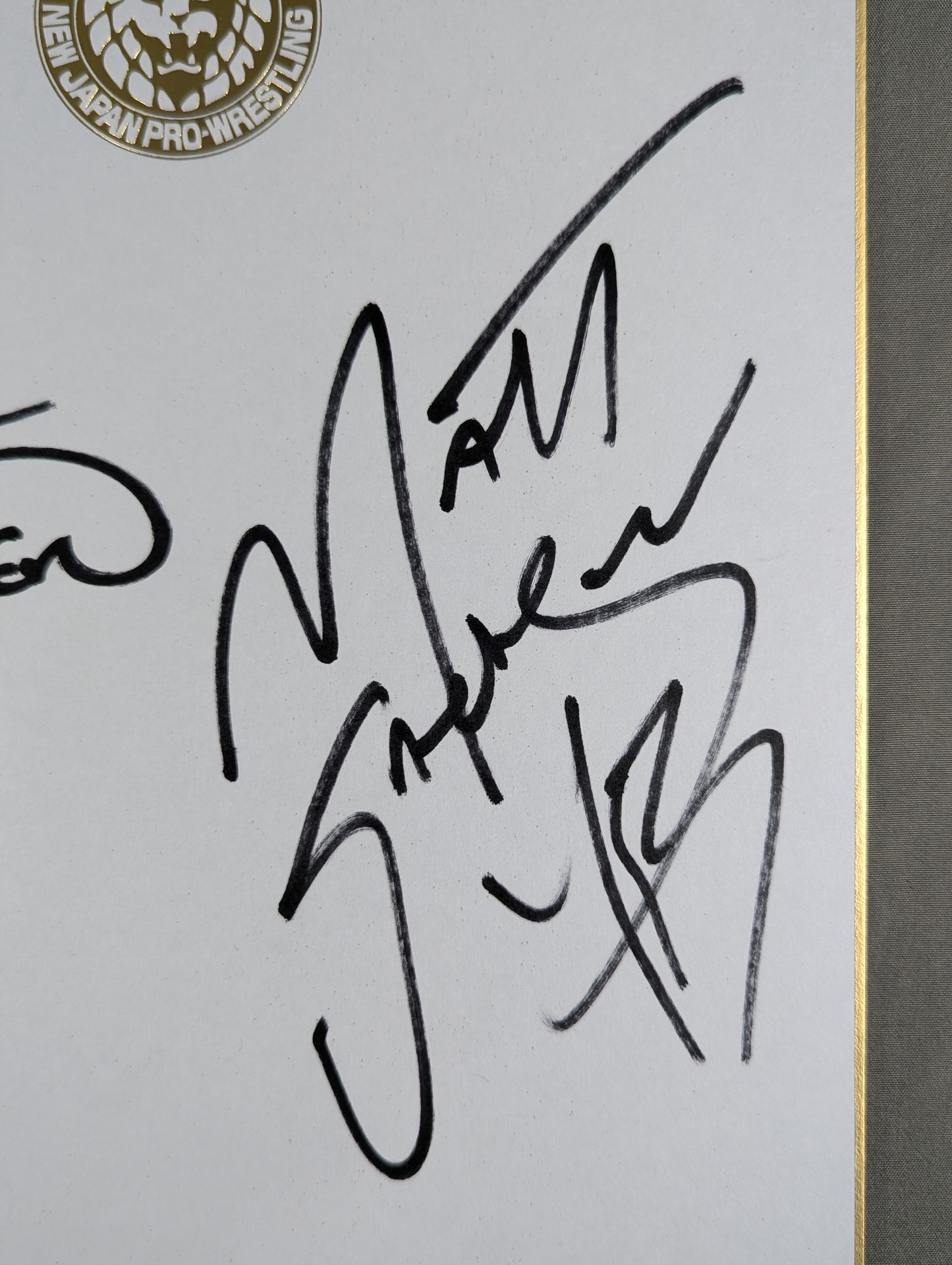 ★ヤング・バックス★ マット・ジャクソン＆ニック・ジャクソ(ライオンマーク色紙)