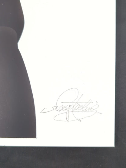 ★ Nagatoshi Sakai Original work ★ "Burning Fighting Spirit" Antonio Inoki 