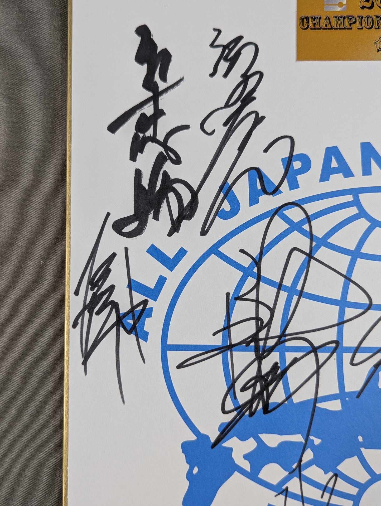 ★2011 チャンピオン・カーニバル★ 参加全選手寄せ書き(全日本プロレス専用色紙)