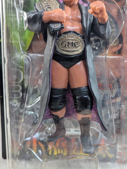 小橋建太(2冠王)