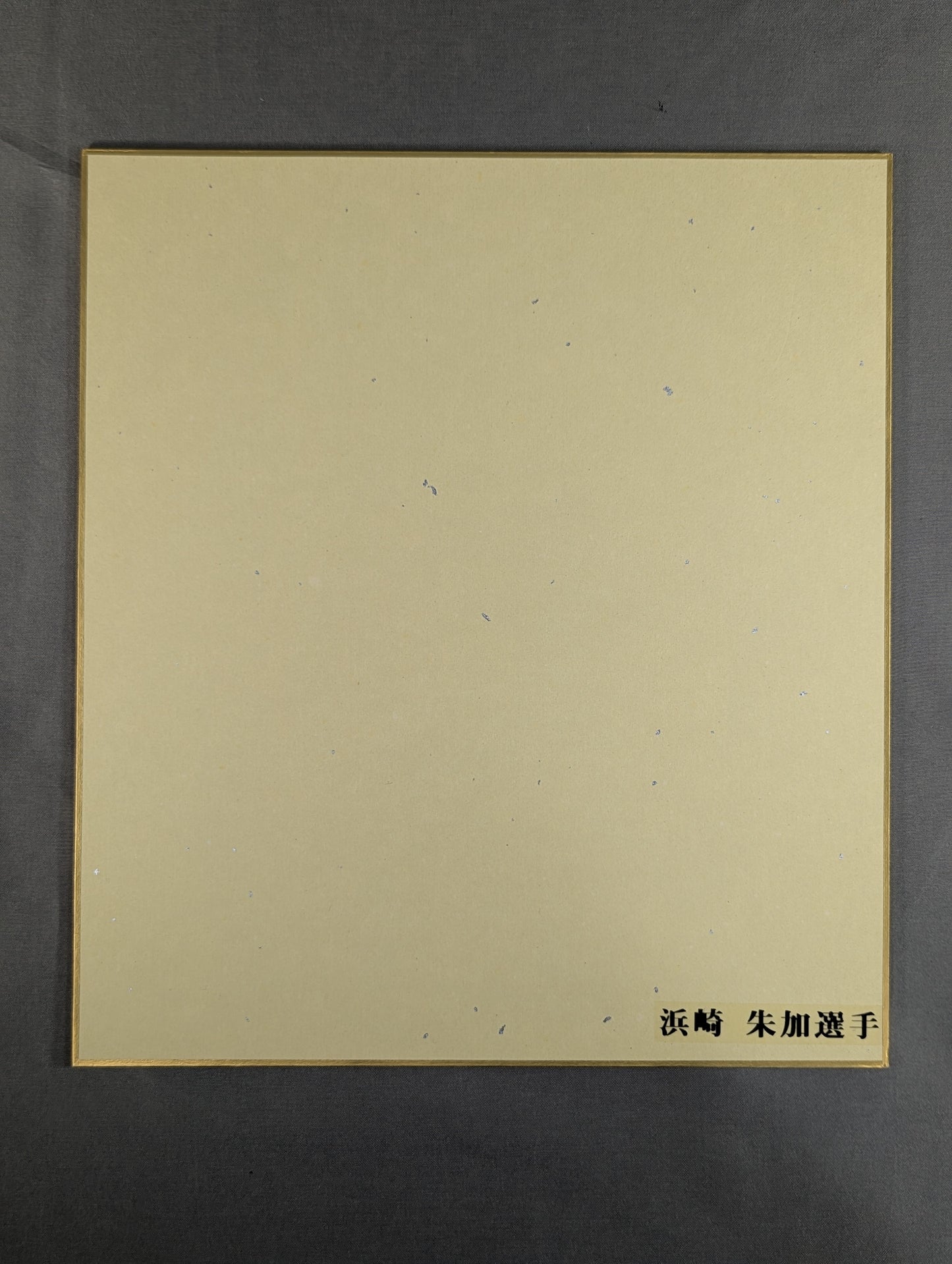 浜崎朱加