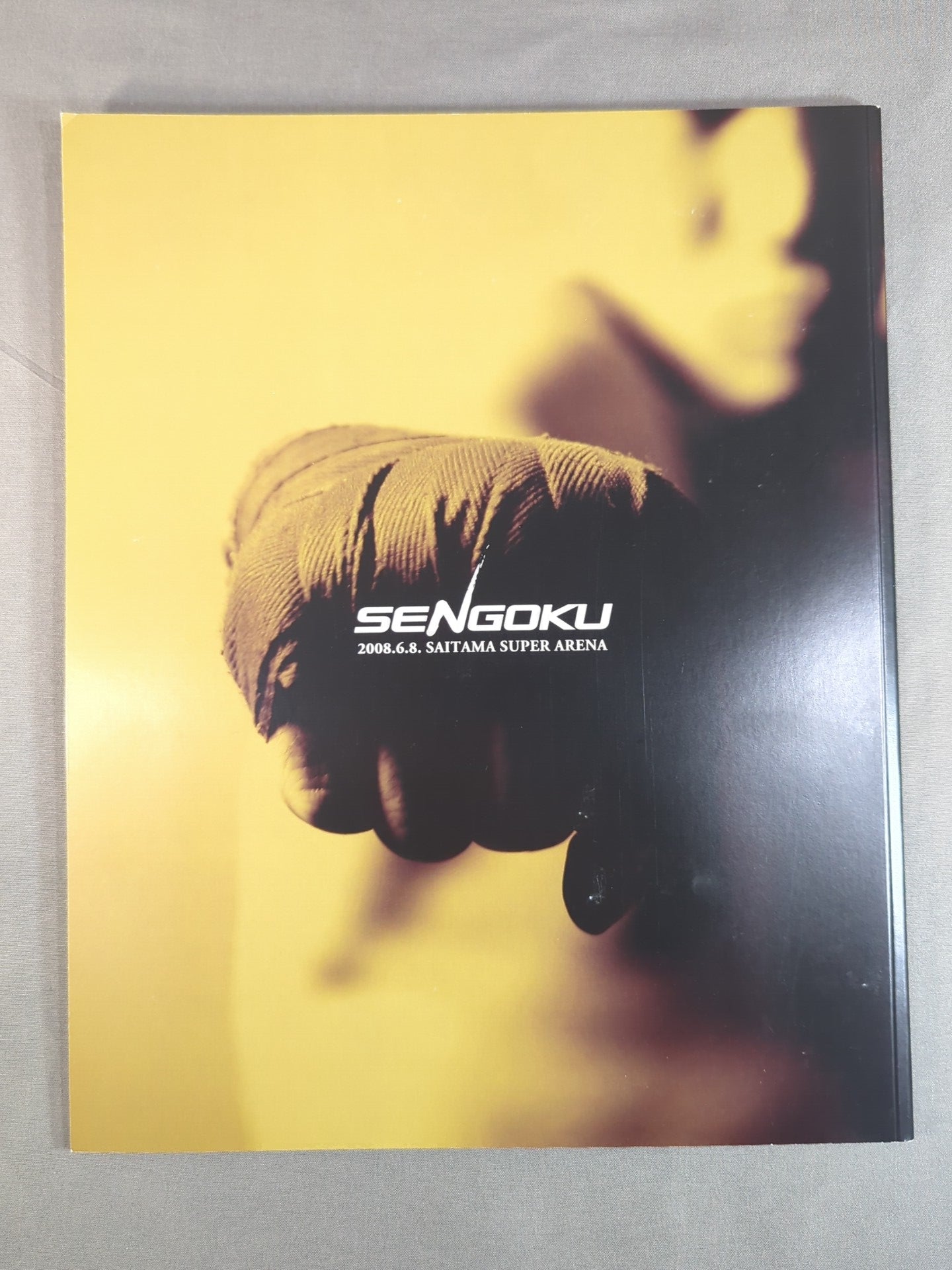 戦極 SENGOKU 第三陣 – 闘道館