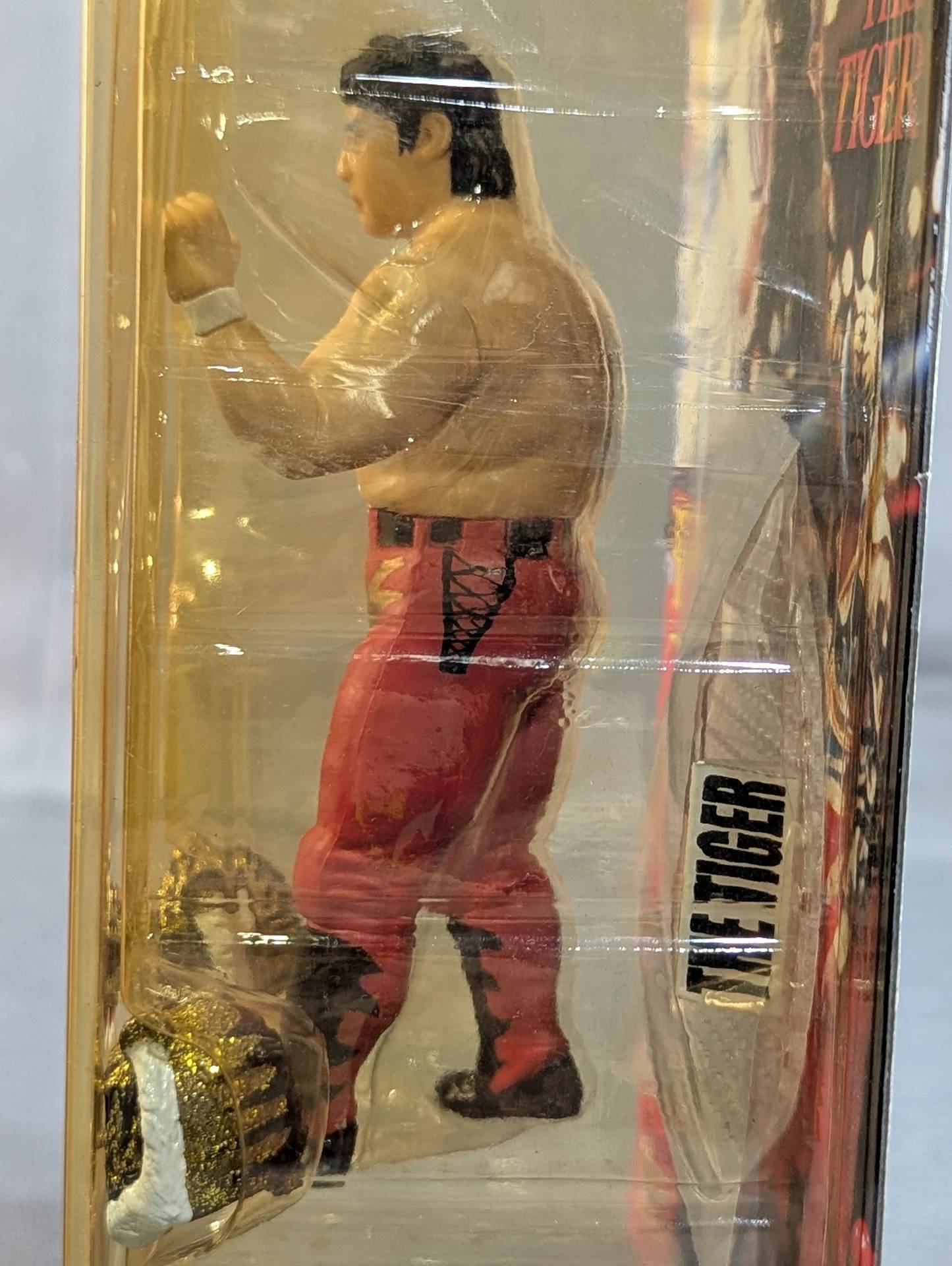 佐山聡(スーパータイガー＆ザ・タイガー)