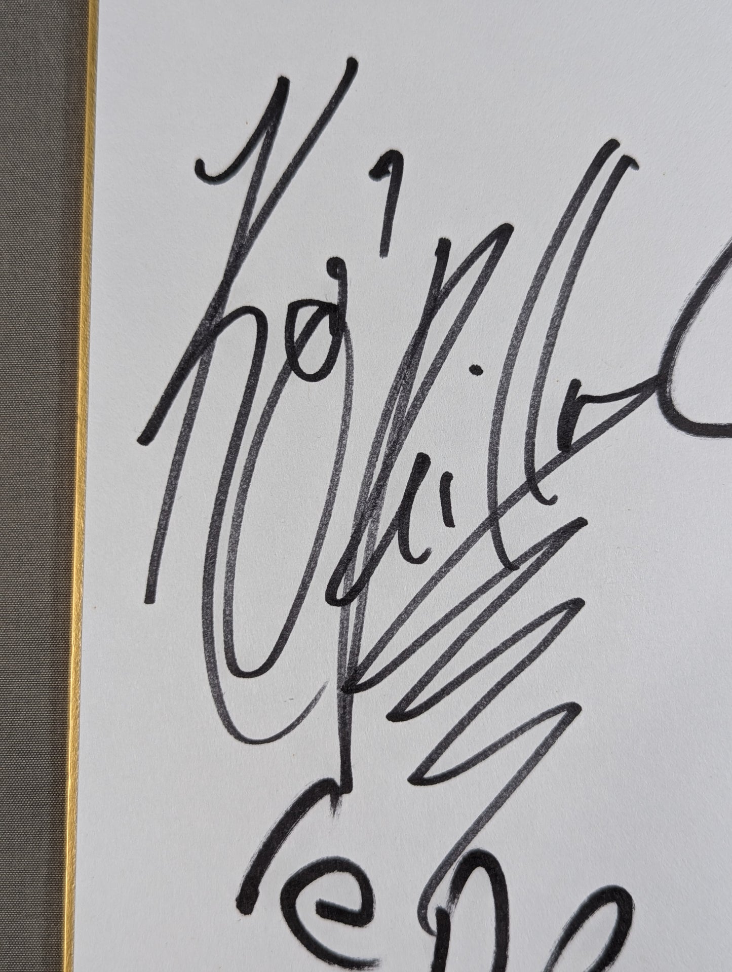 ★reDRagon★ Kyle O'Reilly & Bobby Fish, King of Pro-wrestling Shikishi ( Autograph board ) )