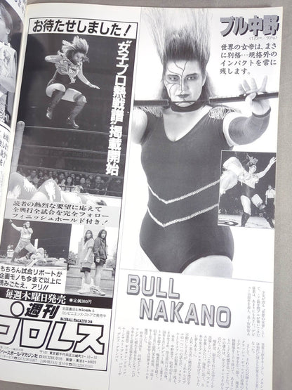 Ringstar PROGRAM 1993 / LAST SUMMER & AUTUMN SPECIAL