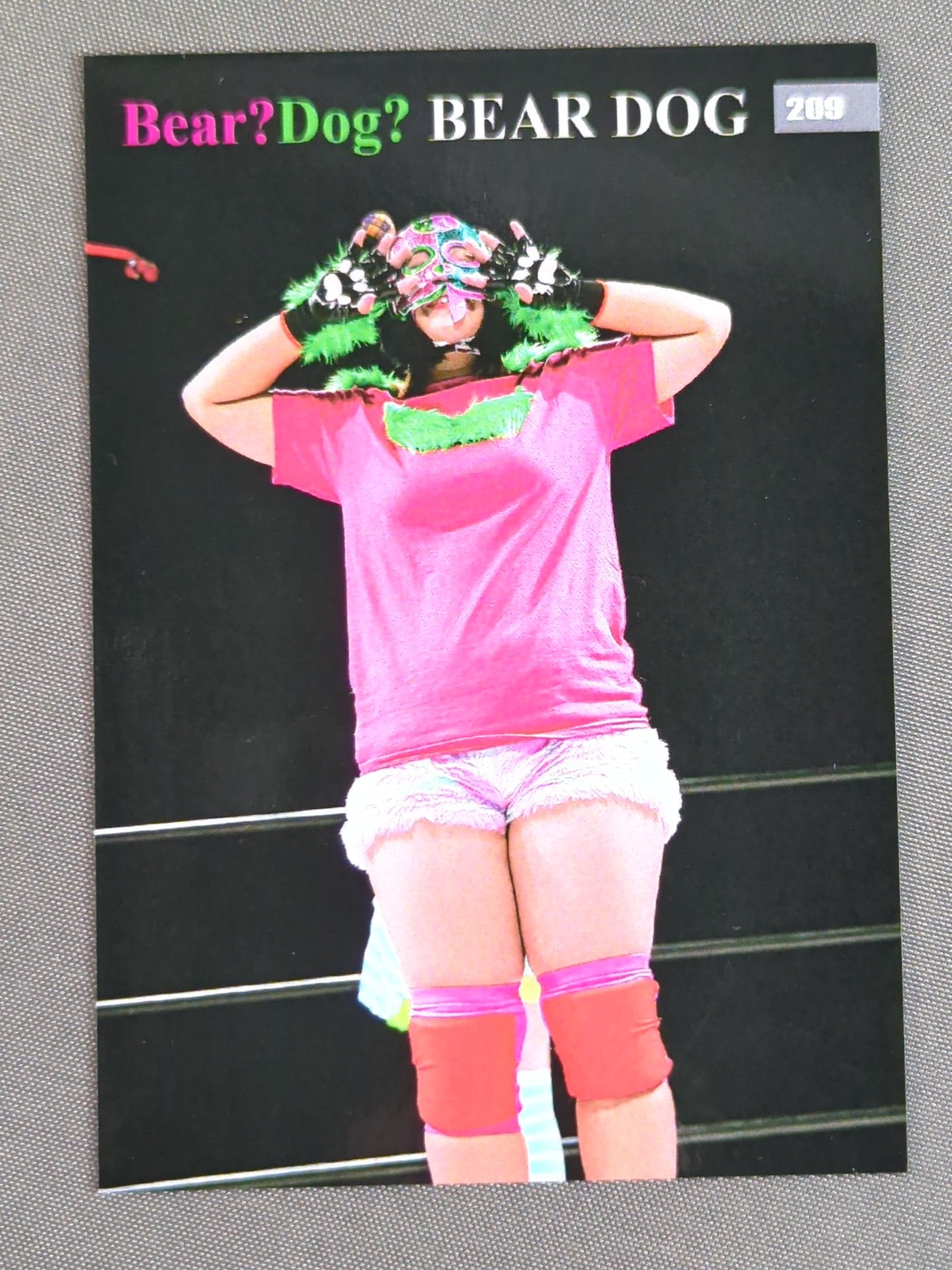 2019 STARDOM COLLECTION CARD ルアカ(ベアー・ドッグ) 公式サインカード