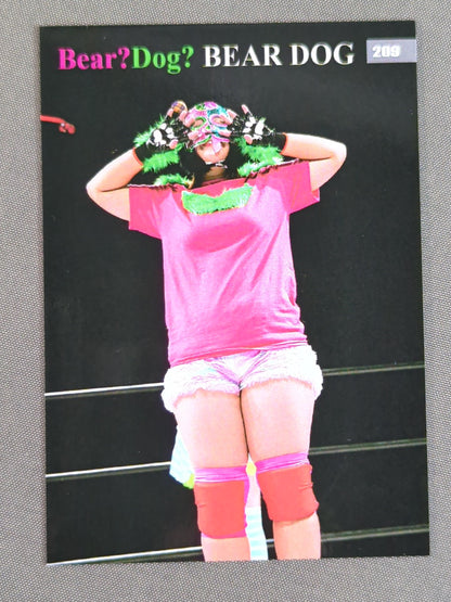 2019 STARDOM COLLECTION CARD ルアカ(ベアー・ドッグ) 公式サインカード