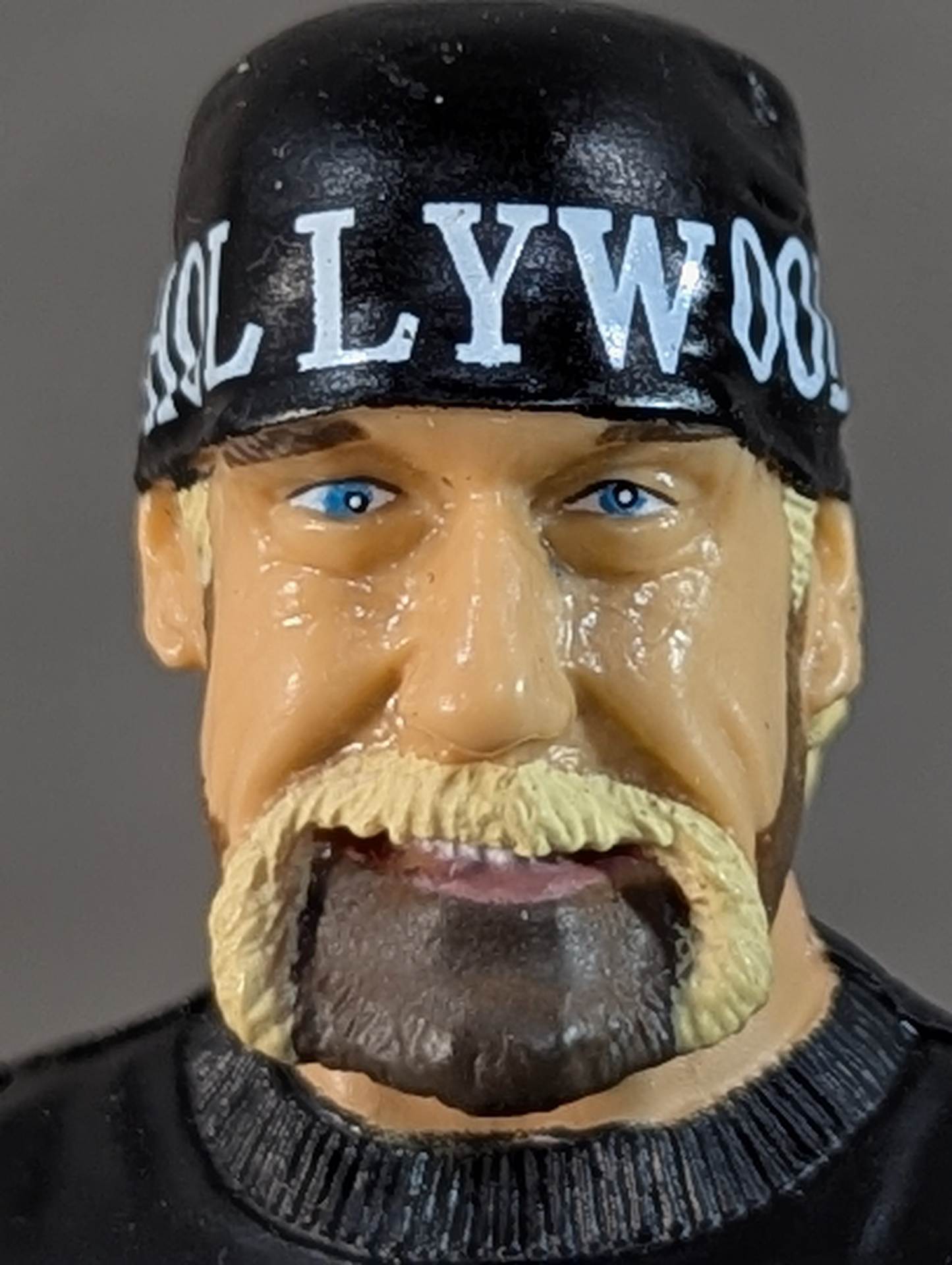 ハリウッド・ハルク・ホーガン( nWoタンクトップ) – 闘道館