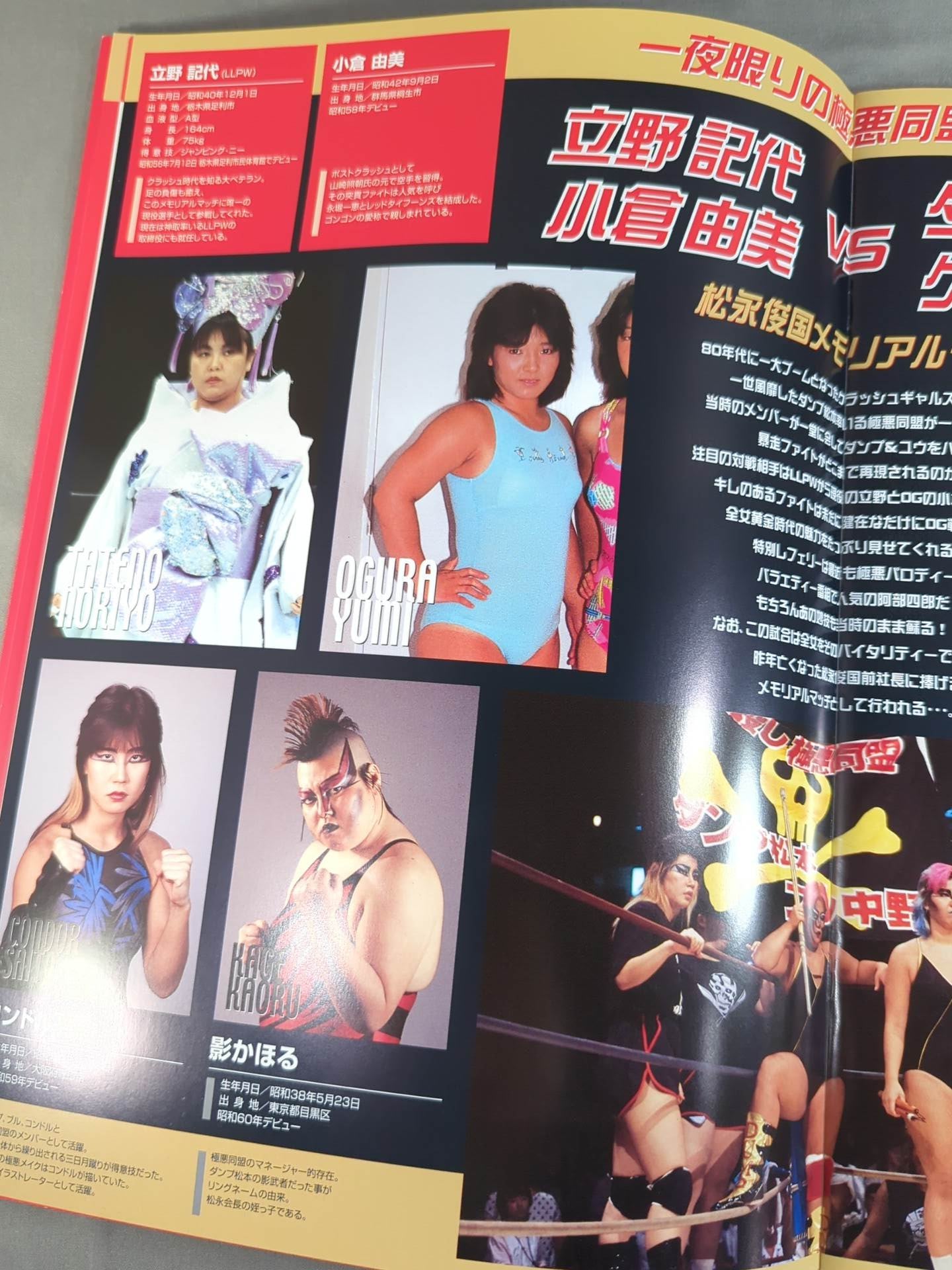 全日本女子プロレス創立35周年記念大会 特別号 – 闘道館