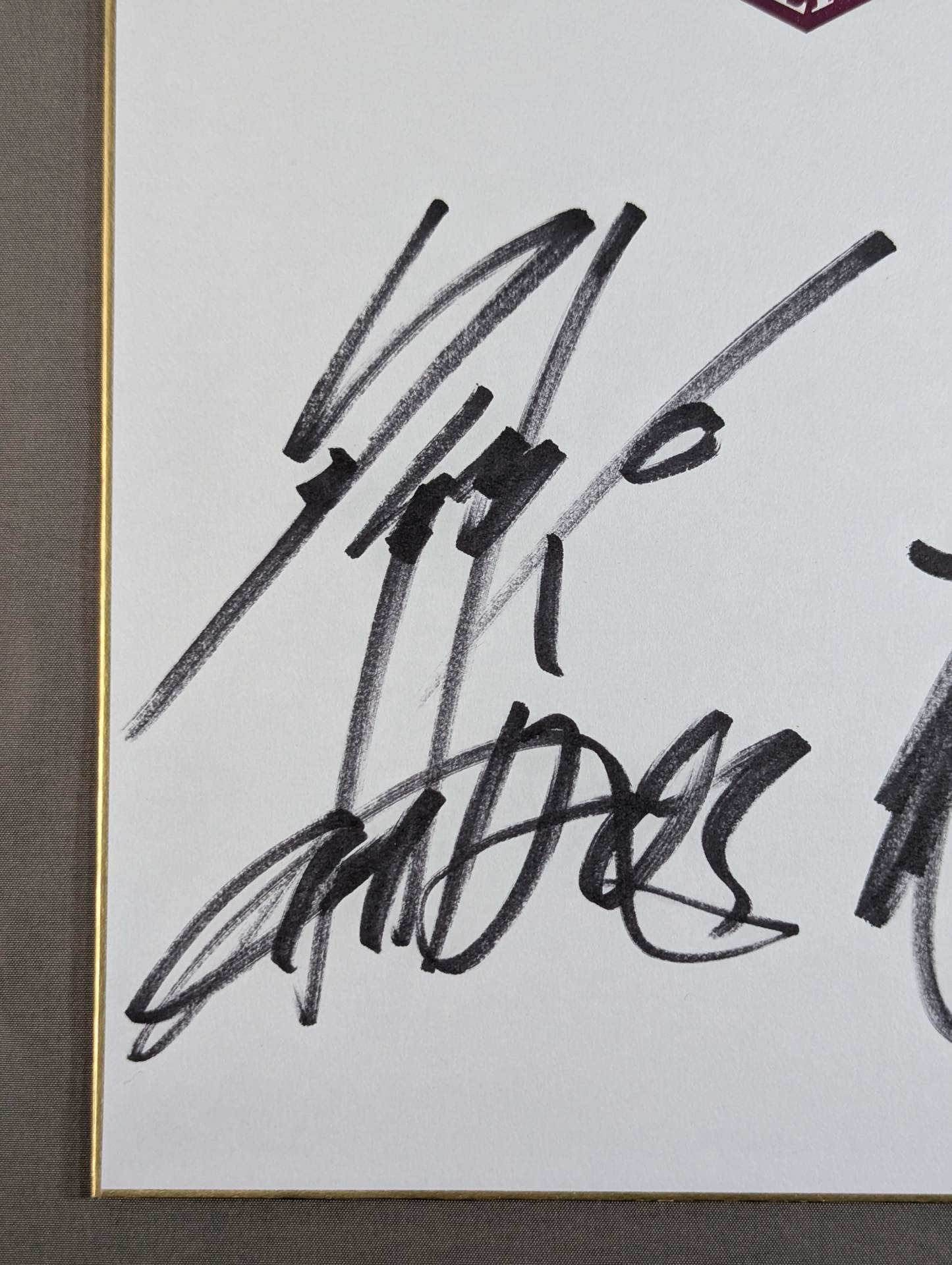 Toru Yano & YOSHI-HASHI(New Japan Pro Wrestling ) 50th Anniversary Shikishi ( Autograph board ) )