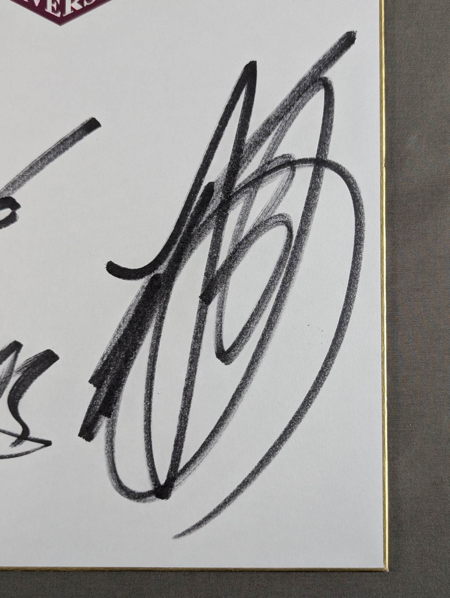 Toru Yano & YOSHI-HASHI(New Japan Pro Wrestling ) 50th Anniversary Shikishi ( Autograph board ) )