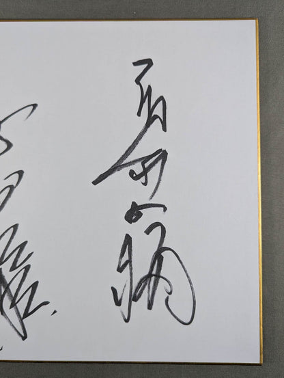 Yoshiaki Fujiwara  & Masakatsu Funaki