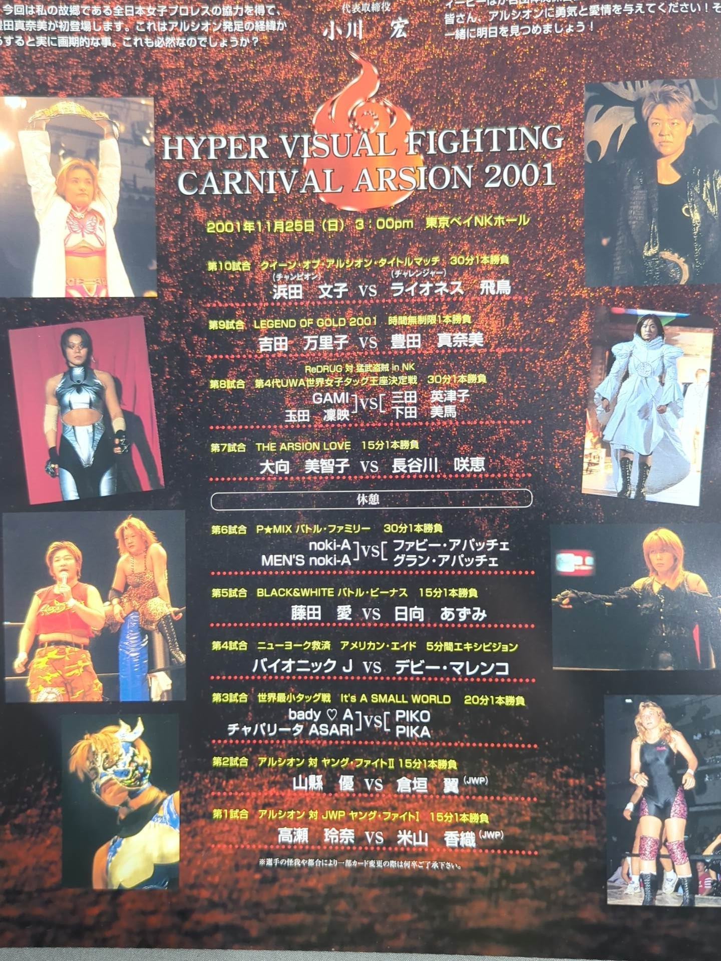 CARNIVAL ARSION 2001 / OFFICIAL GUIDE BOOK Vol.23