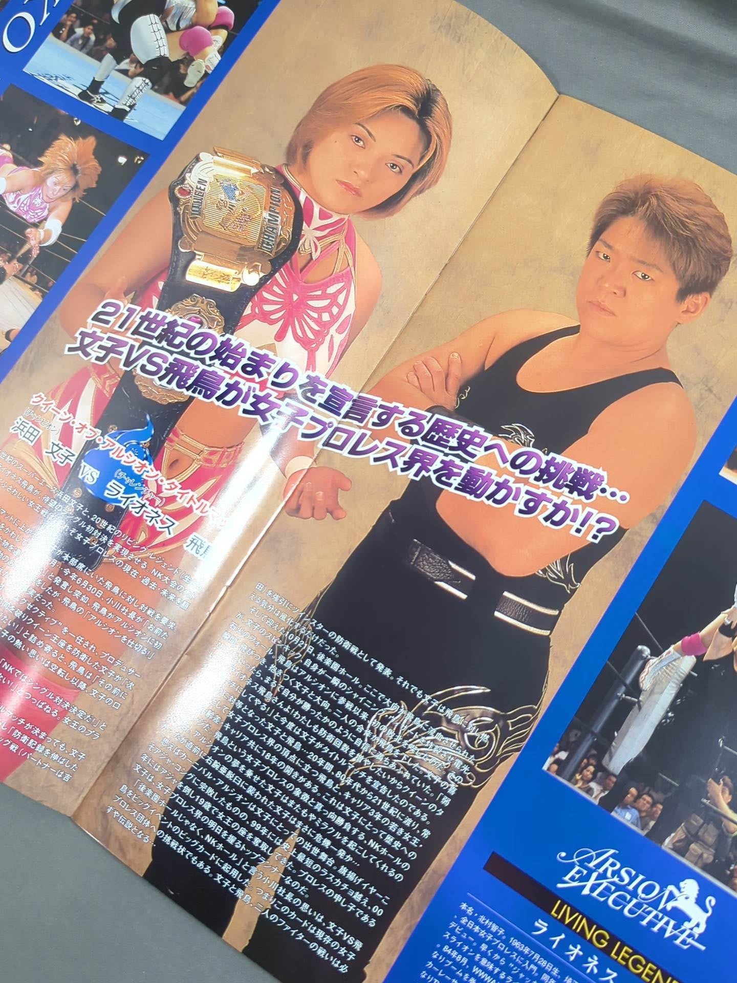 CARNIVAL ARSION 2001 / OFFICIAL GUIDE BOOK Vol.23