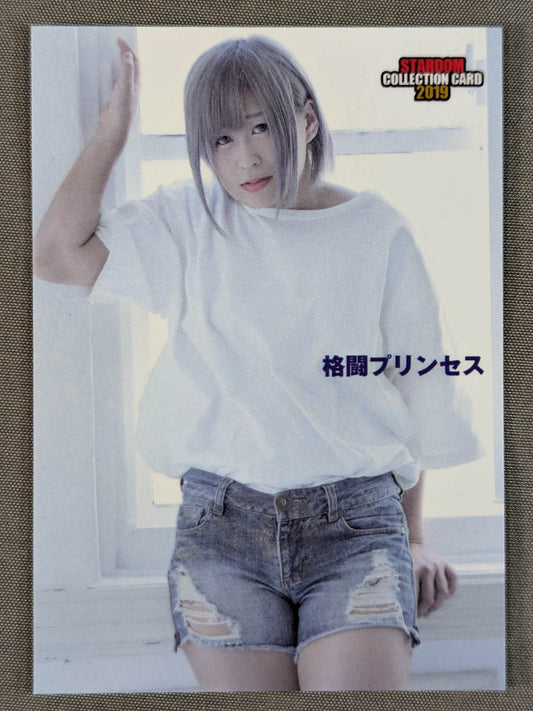 2019 STARDOM COLLECTION CARD 小波(55)