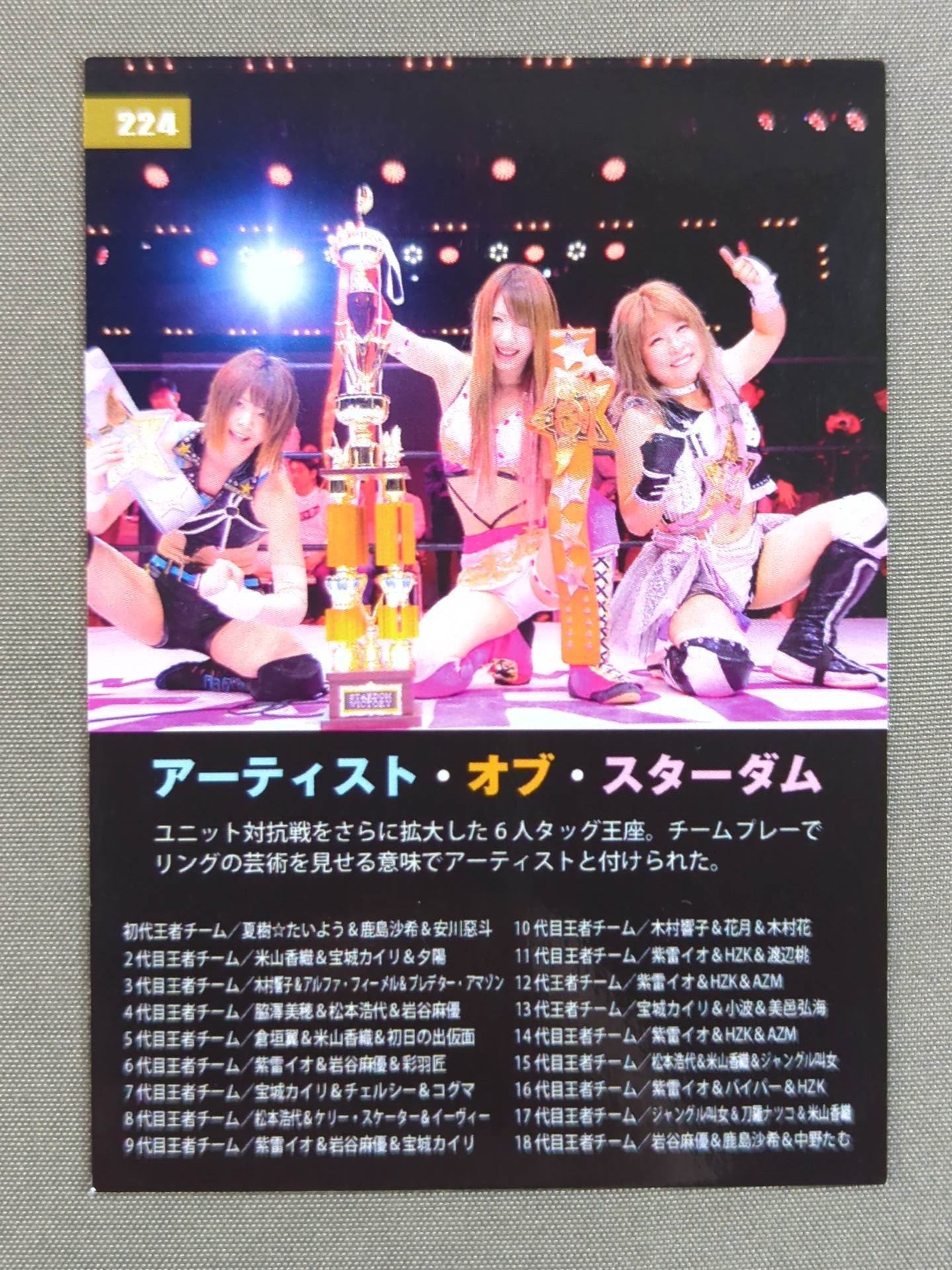 2019 STARDOM COLLECTION CARD アーティスト・オブ・スターダム(224)