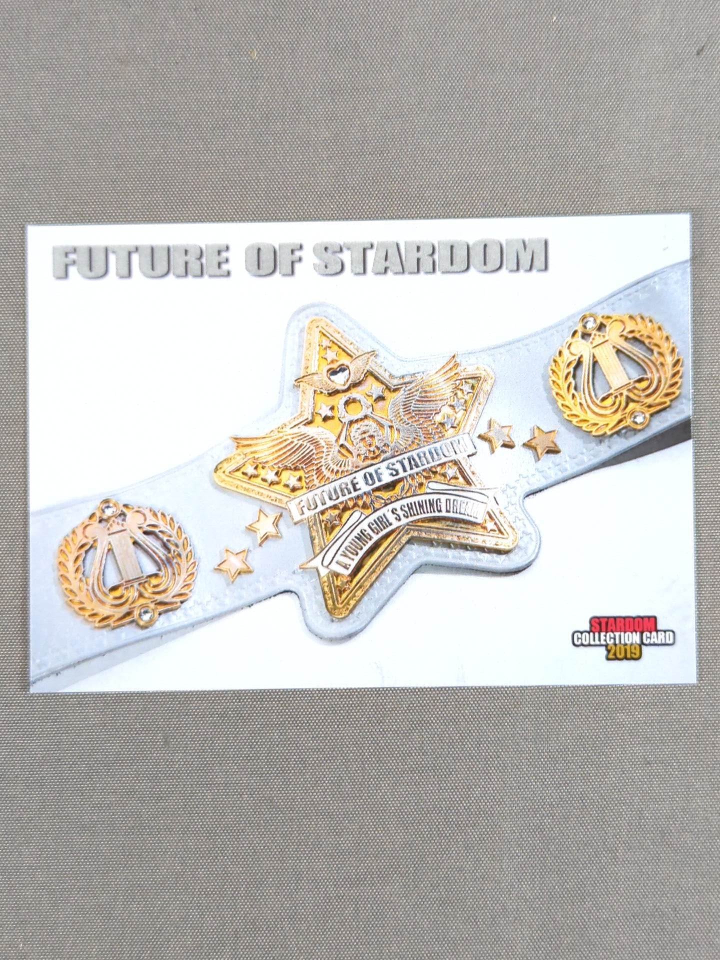 2019 STARDOM COLLECTION CARD Future of Stardom (225)