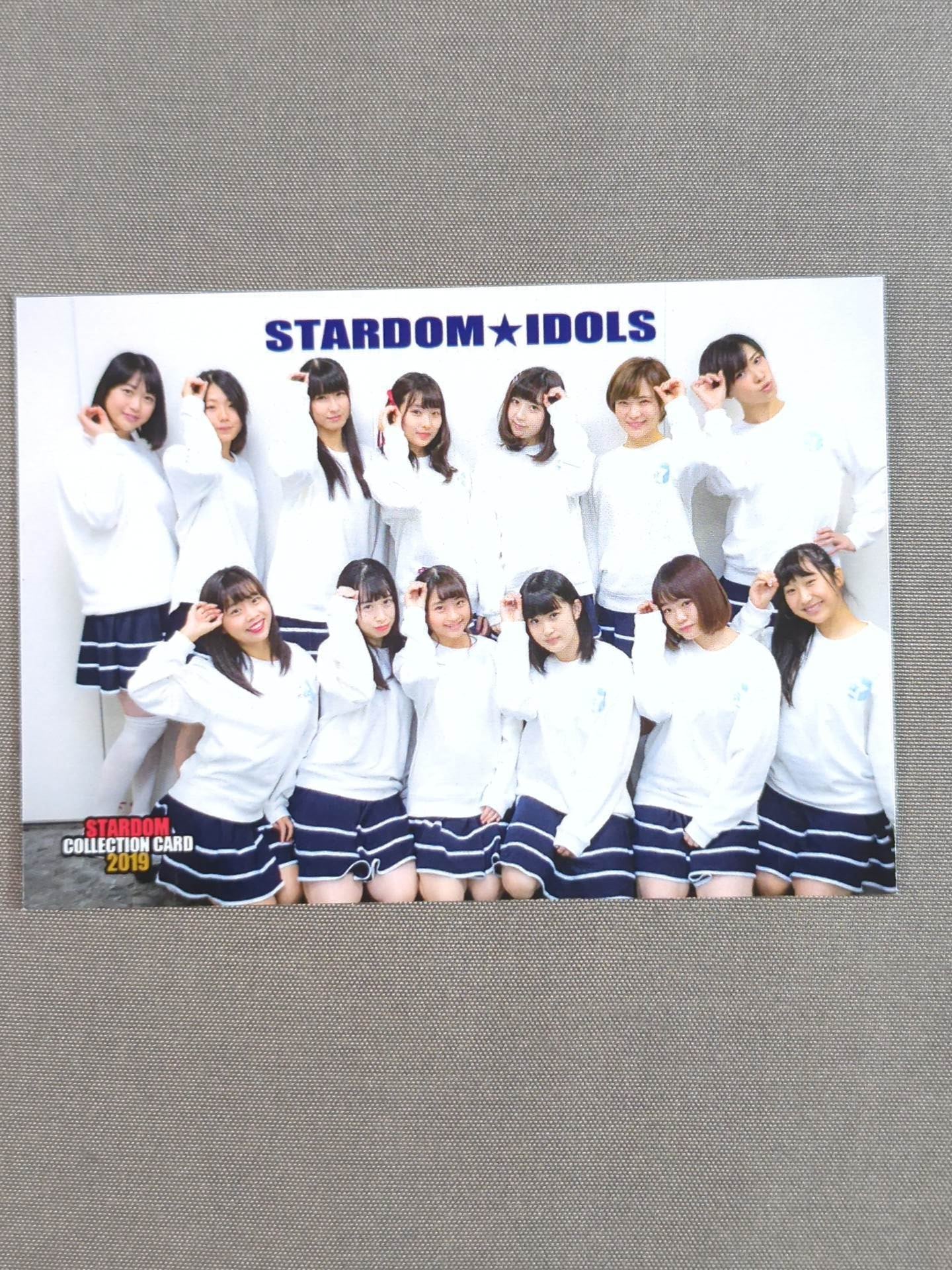 2019 STARDOM COLLECTION CARD スターダム★アイドルズ(229)