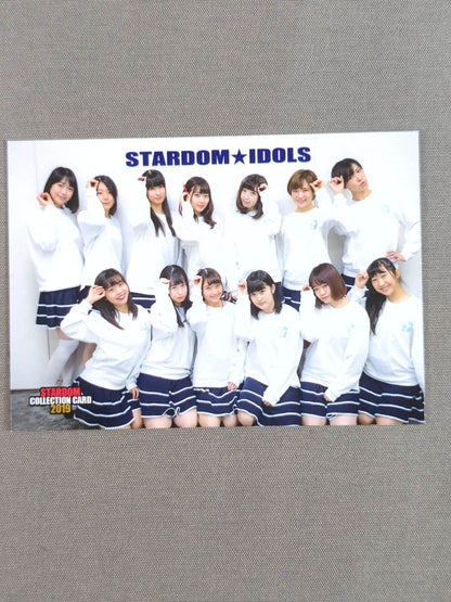 2019 STARDOM COLLECTION CARD スターダム★アイドルズ(229)