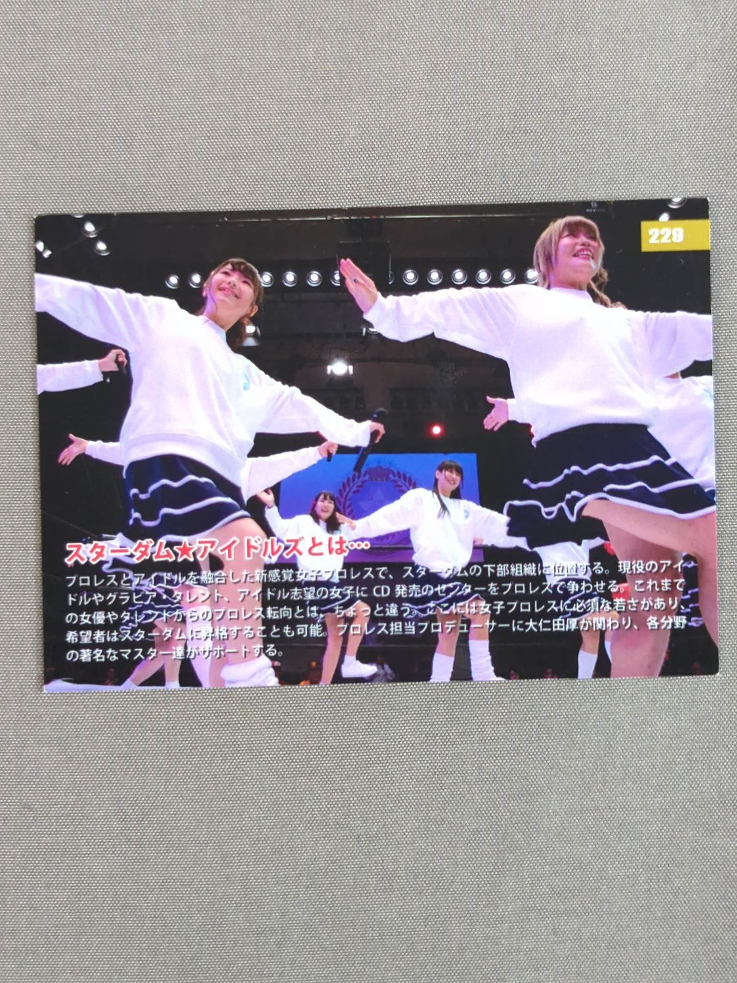 2019 STARDOM COLLECTION CARD スターダム★アイドルズ(229)
