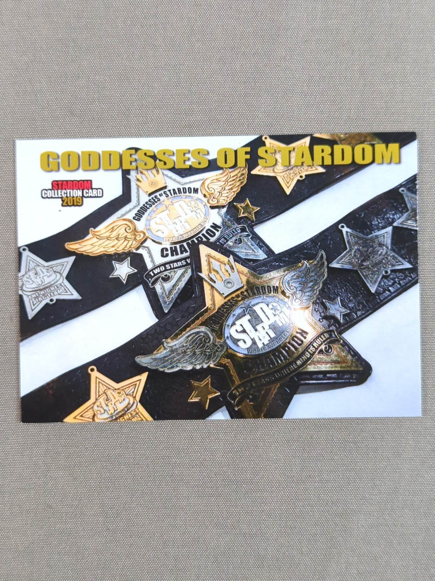 2019 STARDOM COLLECTION CARD Goddess of Stardom (223)