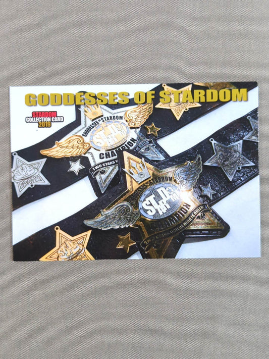 2019 STARDOM COLLECTION CARD ゴッデス・オブ・スターダム(223)