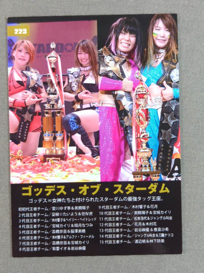 2019 STARDOM COLLECTION CARD Goddess of Stardom (223)