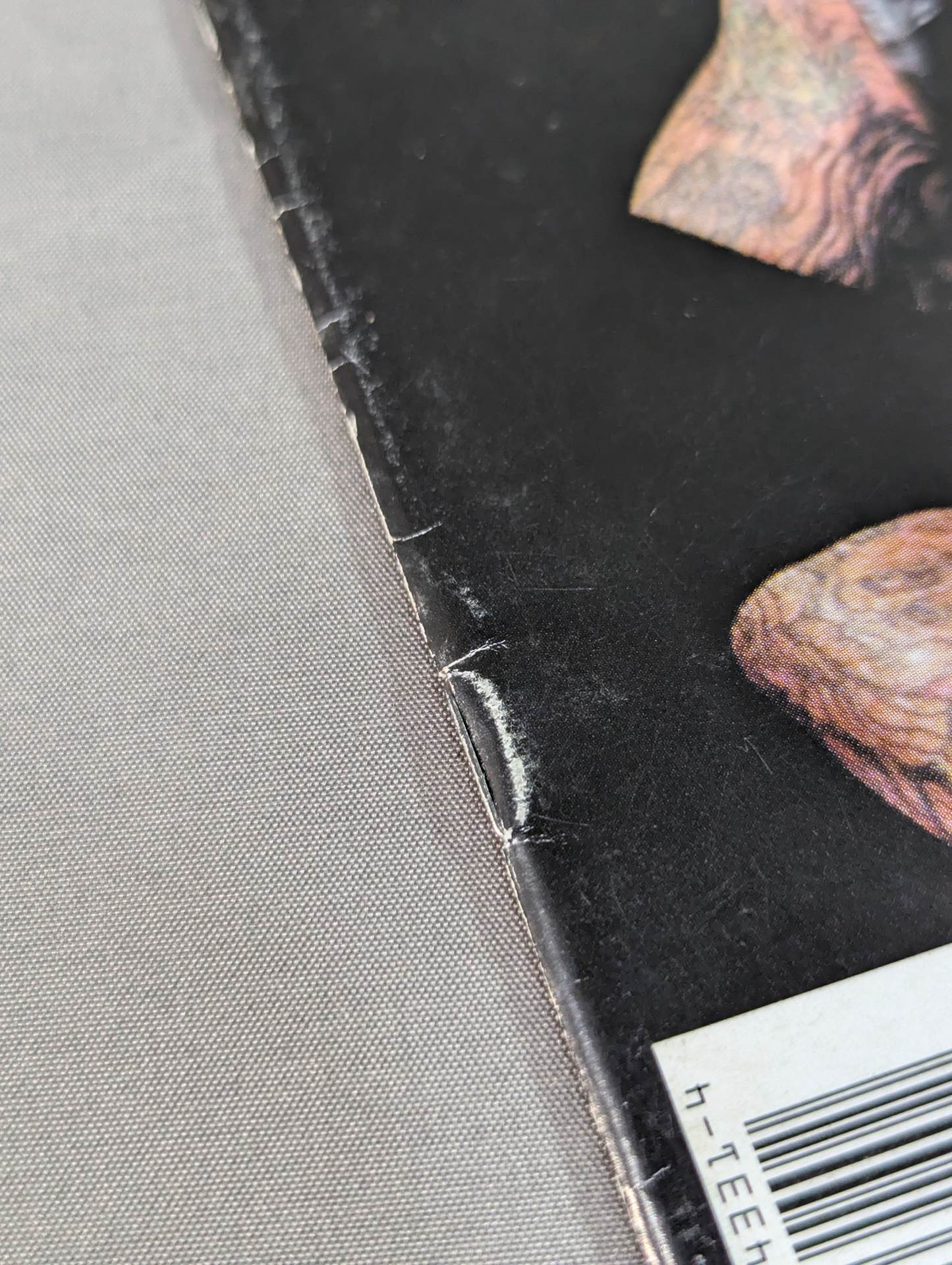 UNDERTAKER #5 (Aug.'99)《実写表紙Ver.》